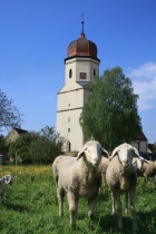 Evang.-Luth. Kirchengemeinde Geilsheim