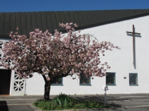 Foto von Evang.-Luth. Kirchengemeinde Coburg - Johanneskirche