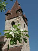 Evang.-Luth. Kirchengemeinde Feucht