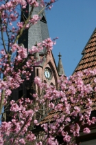 Evangelische Kirchengemeinde Calw Stadtkirche