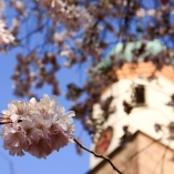 Evangelische Kirchengemeinde Süßen Nord