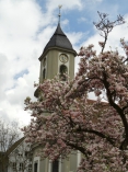 Evangelische Kirchengemeinde Bad Wildbad