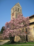 Foto von Evangelische Verbundkirchengemeinde Neckartailfingen-Altdorf